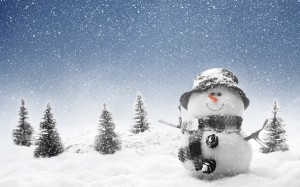 Winter-Snowman (1)